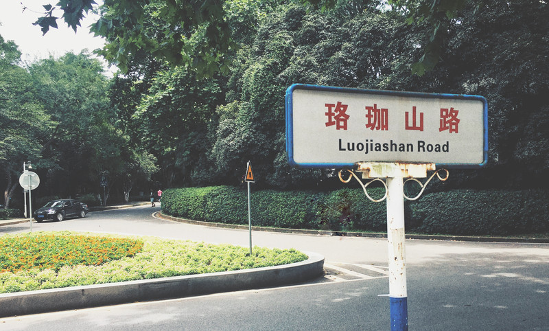  坐落在珞珈山上的武汉大学,曾一度是我高中时期的梦想